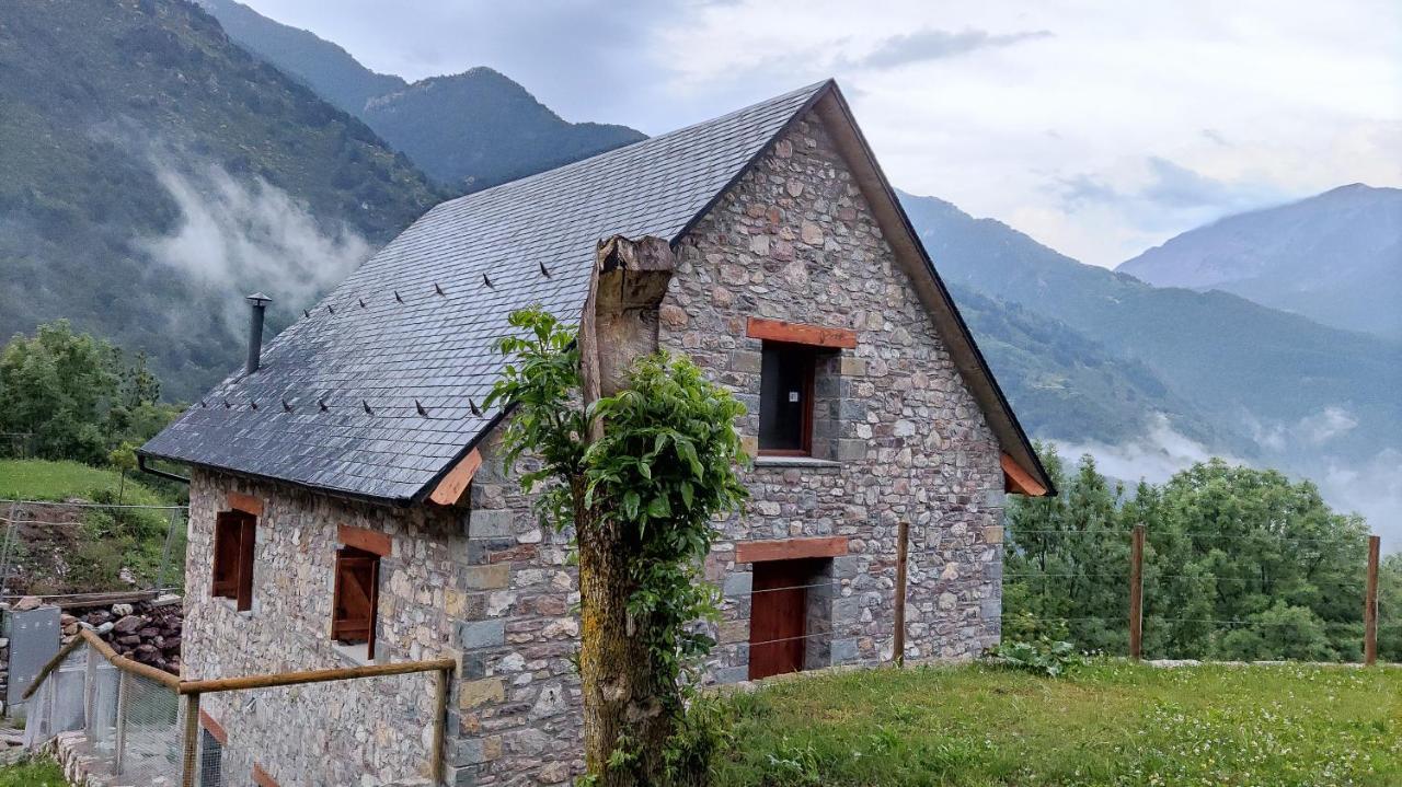 Ferienwohnung Balcon De Pineta Bielsa Exterior foto