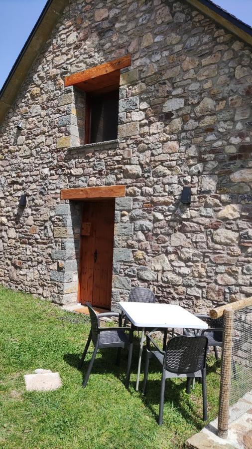 Ferienwohnung Balcon De Pineta Bielsa Exterior foto